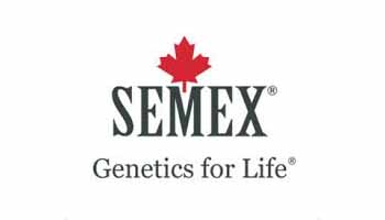 SEMEX