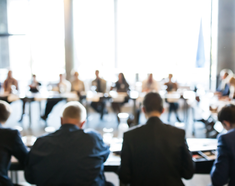 Workshop Facilitator